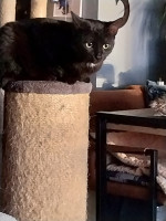 /album/20-10-2025/afbeelding-van-whatsapp-op-2025-10-18-om-08-51-15-ae7413ee-jpg/